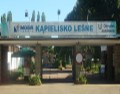 Kąpielisko Leśne - Maciejów Zabrze
