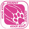 Sklep Koci, Koci ... Drapki! Zabrze