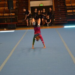 Cheermania