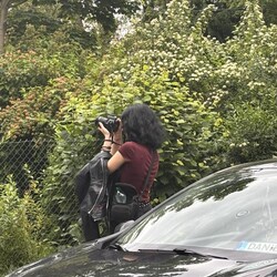 Spacer fotograficzny po Osiedlu Borsiga