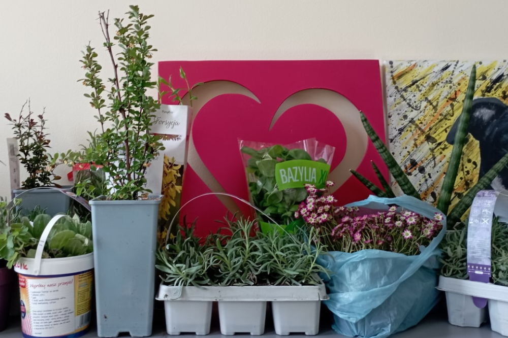 Zielona sobota w Psitulu zaliczona do udanych! (zdjęcia) / fot. Schronisko dla bezdomnych zwierząt Psitulmnie w Zabrzu