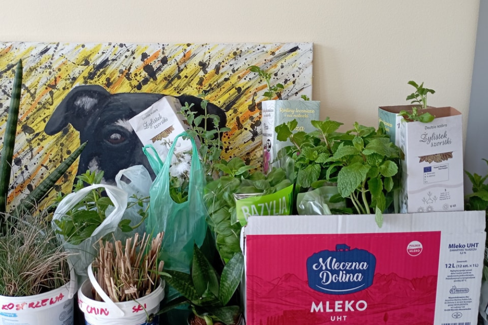 Zielona sobota w Psitulu zaliczona do udanych! (zdjęcia) / fot. Schronisko dla bezdomnych zwierząt Psitulmnie w Zabrzu