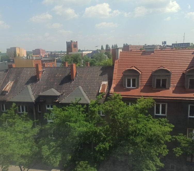 Spacer po Zabrzu lata 30. XX wieku za nami! (Zdjęcia) / fot. Muzeum Miejskie w Zabrzu