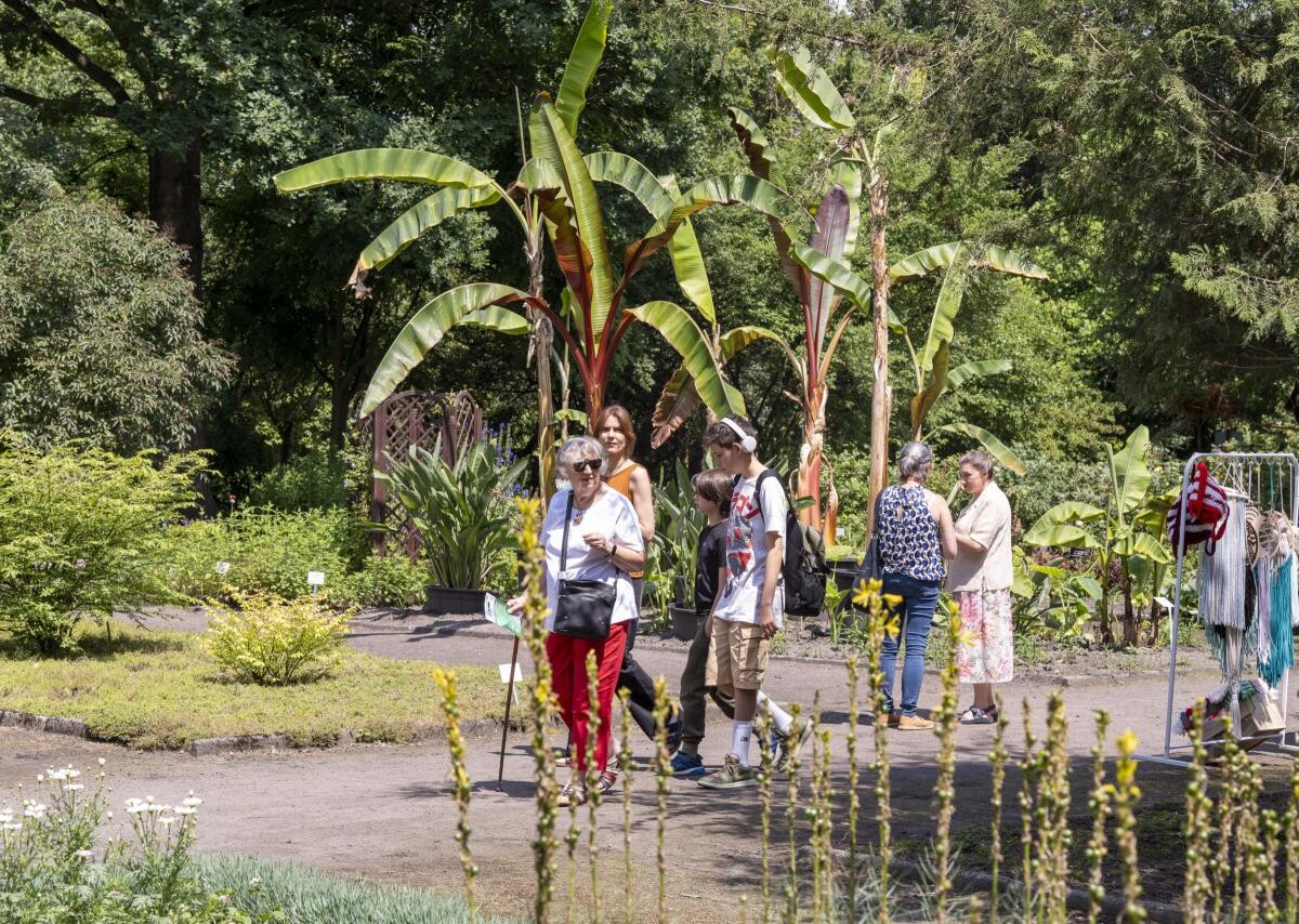 Czerwcowa edycja Botanicznej Sceny Premier rozpoczęła się punktualnie się o godz. 10.00 od warsztatów rozwojowych pn. „Mapa marzeń” / fot. UM Zabre