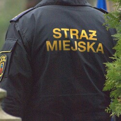 Najpierw referendum, teraz Stra&#380; Miejska? Reset chce likwidacji