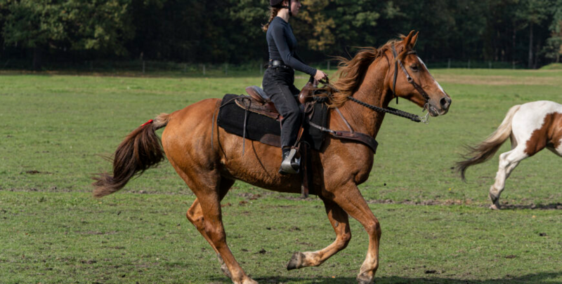 Przed nami kolejna edycja święta Hubertus 2023