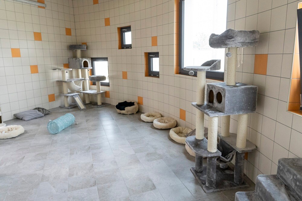 Schronisko dla bezdomnych zwierząt "Psitulmnie". / fot. UM Zabrze