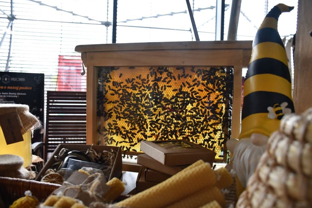 XIV Międzynarodowe Targi Turystyczne Zabrze 2024/fot. Jacek Knapik